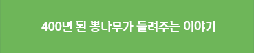 400년 된 뽕나무가 들려주는 이야기