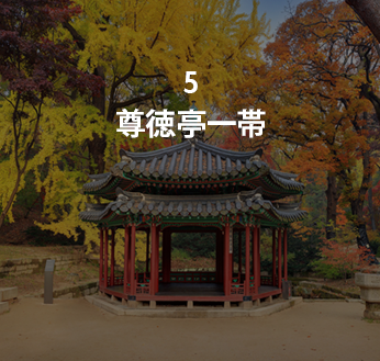 정조의 왕권 강화, 개혁의지를 만나다. 존덕정 일원