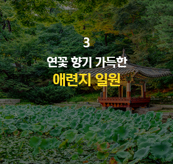 연꽃 향기 가득한 애련지 일원