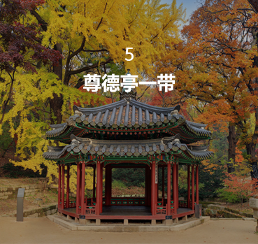 정조의 왕권 강화, 개혁의지를 만나다 존덕정 의원