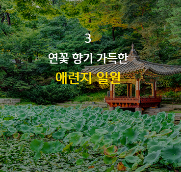 어서 오십시오. 덕수궁입니다.